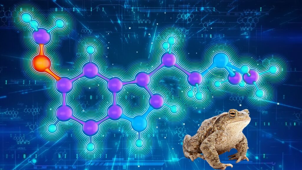 Common Psychedelic substances