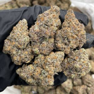 Grape syrup indoors $1000