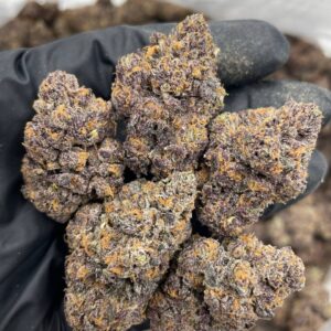 Dynamite skittles indoors