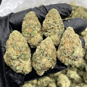 Melon candy mixed light