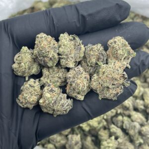 Sunset zerbert mixed light smalls