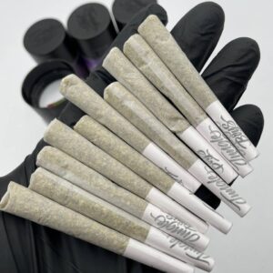 Jungle Boys prerolls