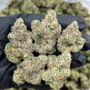 Candy shaved ice indoors