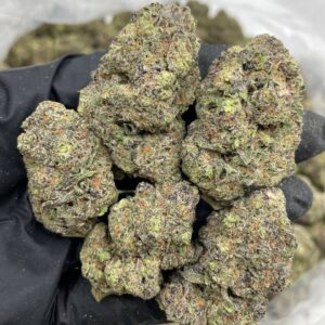 Gushlato mixed lights