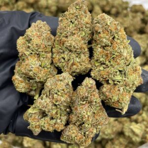 Rocket fuel jets ⛽️🚀