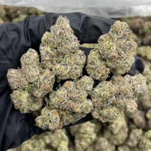 Kandy rain indoors 🍬☔️